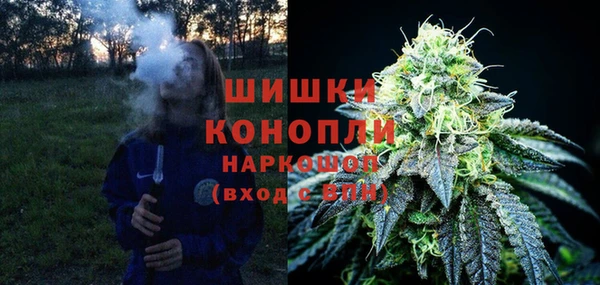 apvp Вязьма