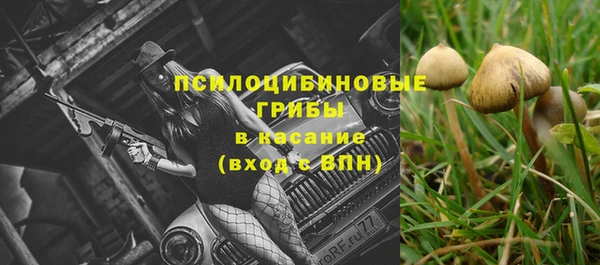 бутират Вяземский