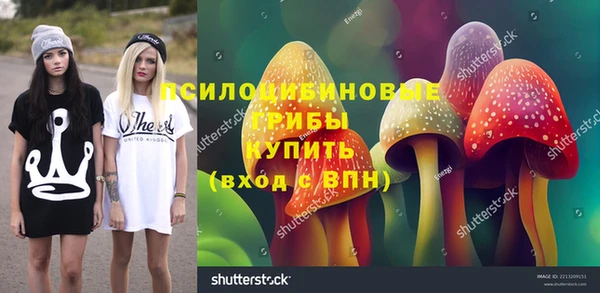 прущие крисы Горнозаводск